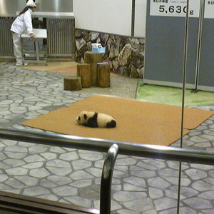 20101127011310.jpg