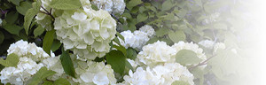 201105.jpg